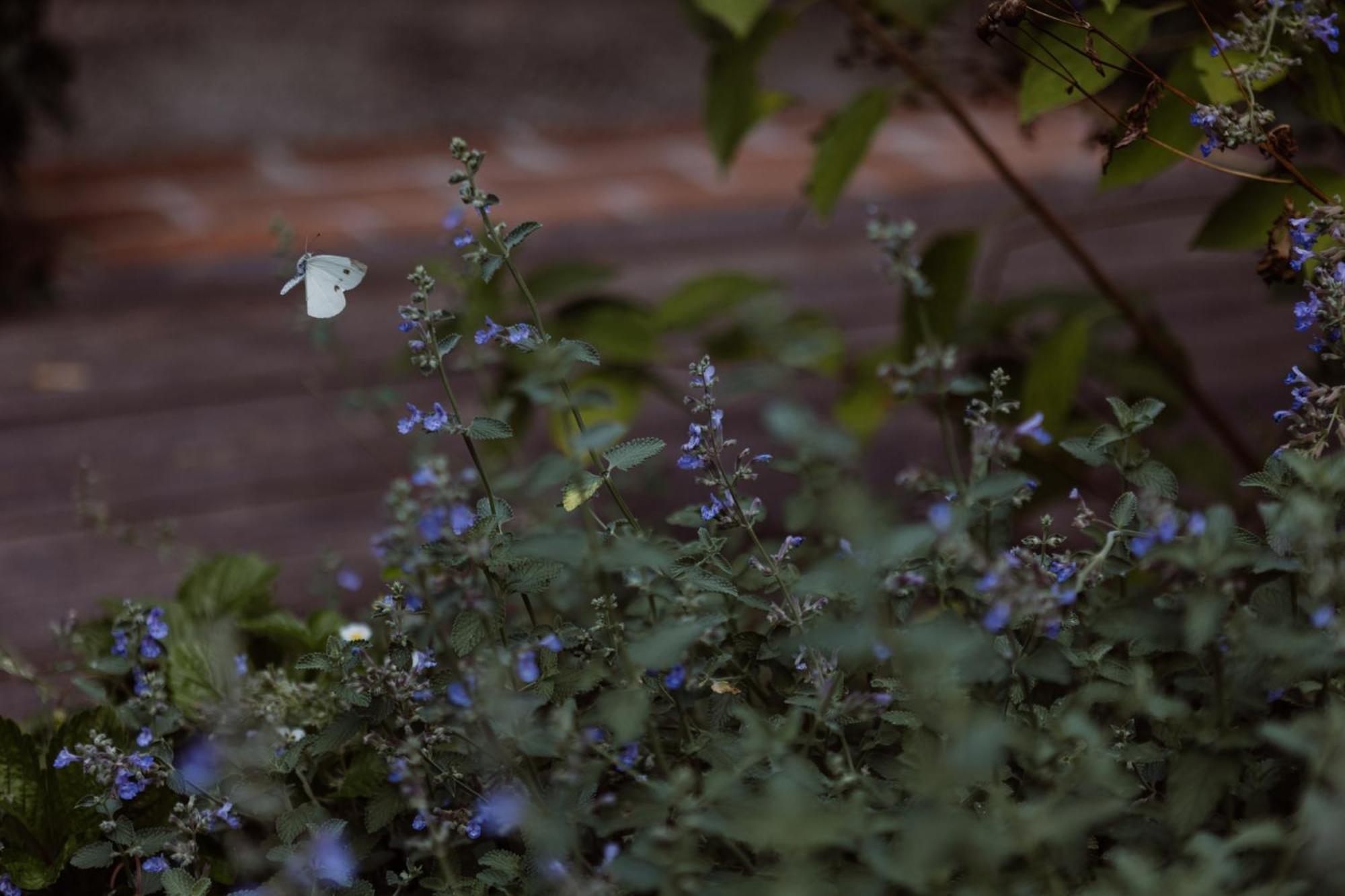 Bed and Breakfast Casa Toma - Luxury Garden House Арциньяно Екстер'єр фото