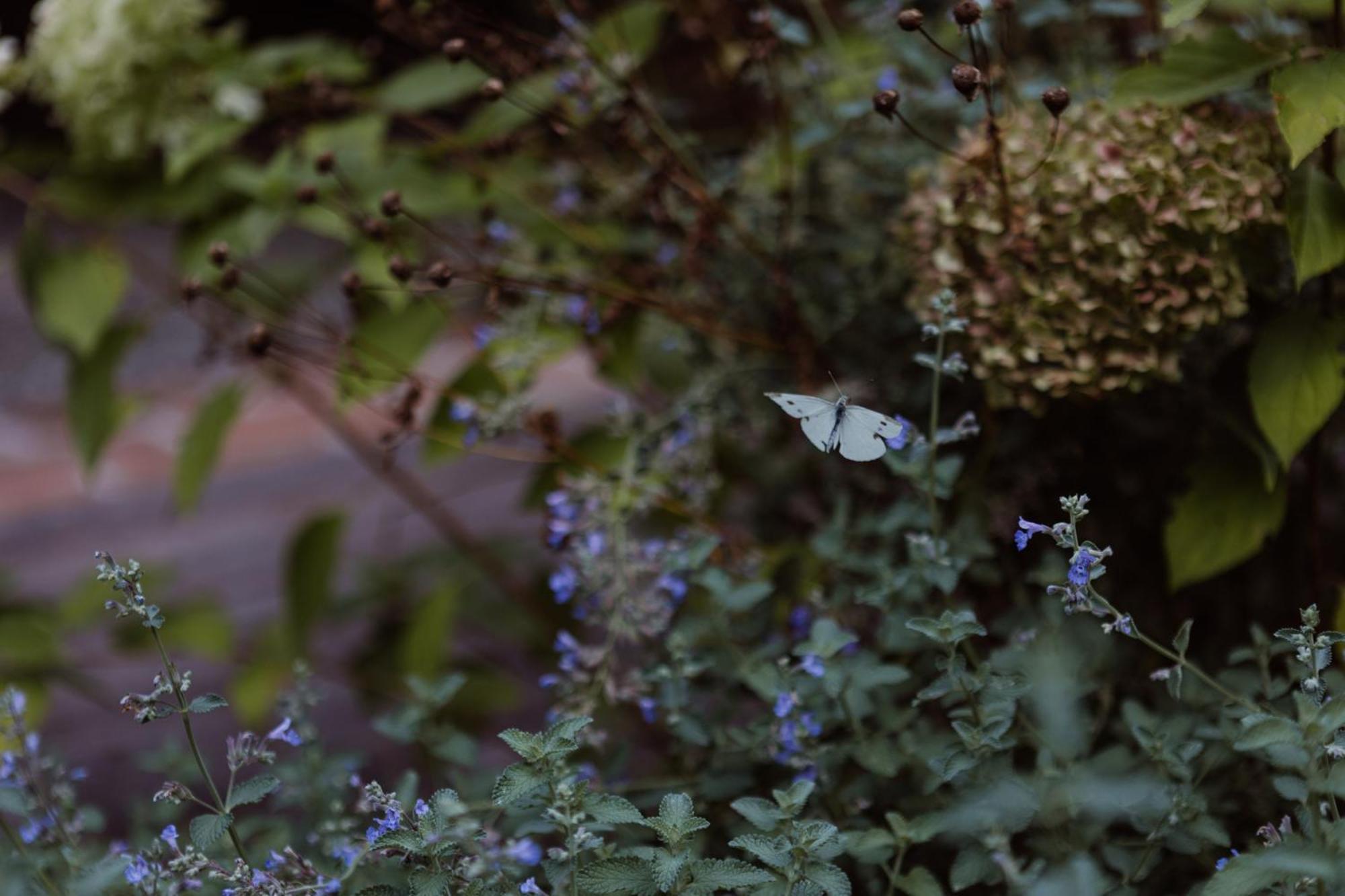 Bed and Breakfast Casa Toma - Luxury Garden House Арциньяно Екстер'єр фото